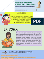 Exposicion de Comunicacion-Semana 11