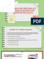 Medios de Prueba Formato