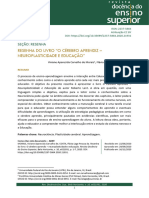 O Cérebro Aprendiz - Neuroplasticidade e Educação