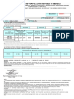 Formato Pesos y Medidas Sany