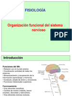 Fisiologia Del Sistema Nervioso