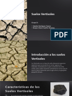 Introduccion A Los Suelos Vertisoles