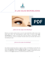 Principio de Las Cejas Microblading