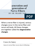 Degeneration and Regeneration of Nerve Fibre