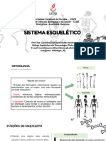 Anatomia Sistema Esquelético