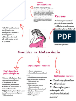 Resumo - Grsvidez Na Adolescência