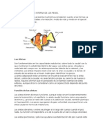 Anatomia Externa e Interna de Los Peces