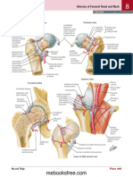 Caput Femoriis-Gambar Anatomii