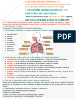 Explicamos La Situación Problematica de Las Enfermedades Respiratoria