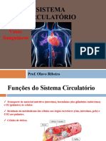 Slides SISTEMA CIRCULATÓRIO (Vasos Sanguíneos)