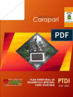 PTDI Carapari 2021-2025 Final