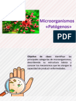 Microorganismos