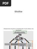 Aula 9 - Glicólise e Destinos Do Piruvato