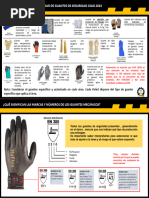 Estandar Guantes 2023 CSAN