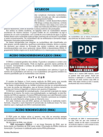 06 Acidos Nucleicos