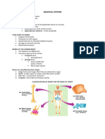 Skeletal System Notes 2023