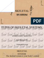 He2-Group 3-Skeletal System 1