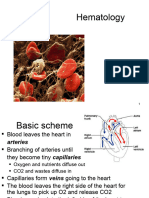 Lecture 17 - Hematology