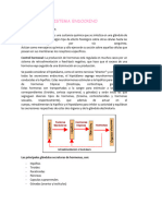 Sistema Endocrino