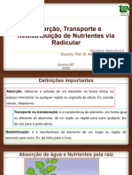 Aula - Absorção, Transporte e Redistribuição de Nutrientes