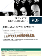 Prenatal Development