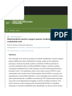 Mitochondrial Reactive Oxygen Species-Mediated Signaling in Endothelial Cells - American Journal of Physiology-Heart and Circulatory Physiology