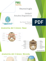 Neuro, Pulmón y Urología