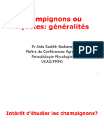 1+2 - Champignons Généralités 23