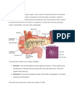 Anaphy Pancreas