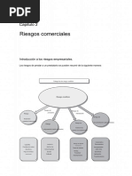 Esp - Cap 2 - Gestión de Riesgo Crediticio