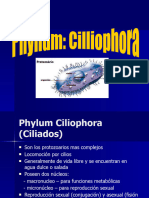 Ciliados 1