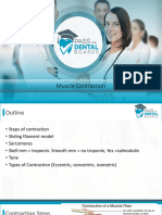 2 - Muscle Contraction