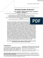 Clinical Anatomy - 2019 - Mori - What Is The Real Cardiac Anatomy