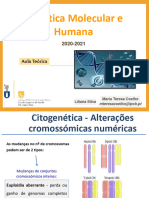 Aula Citogenetica - Tecnicas de Genetica Molecular