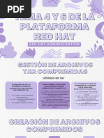 Red Hat Tema 4 y 6