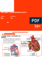 Bio - 4to. Año - Sistema Cardiovascular Ii - Semana 12