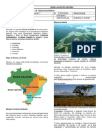 Aula 10 - Biomas Brasileiros