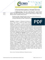 6977-Texto Do Artigo-22435-1-10-20181107 (2) - 231211 - 150544