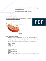 Respiração Aeróbica Resumo