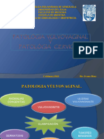 Tema 31 Patología Vulvovaginal y Cervical-1