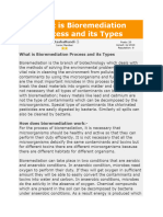 What Is Bioremediation Process and Its Types