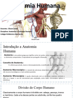 Aula 01 - Introdução À Anatomia e Fisiologia Humana e Sistema Esquelético