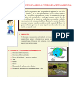 Causas y Consencuencias de La Contaminación Ambiental para Quinto Grado de Primaria