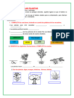 Importancia de Las Plantas