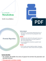 Protein Metabolism Dental and Physiotherapy Part 1