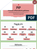 Proceso in Amatorio Pelviano: Internado Obstetricia y Ginecología Miriam Espinoza y Diego Ovando