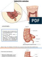 APENDICITIS 