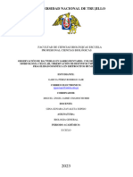 Informe Semana 4