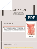 Fisura Anal