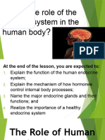 Endocrine System